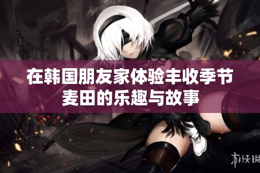 在韩国朋友家体验丰收季节麦田的乐趣与故事
