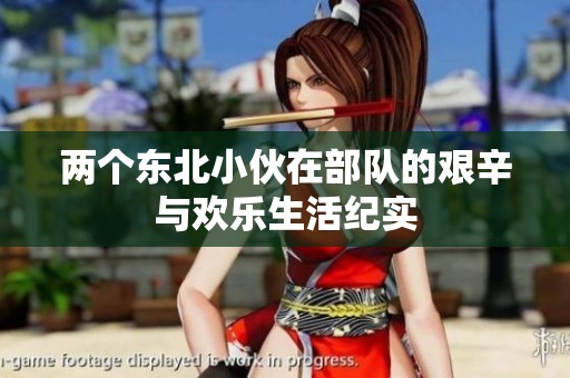 两个东北小伙在部队的艰辛与欢乐生活纪实