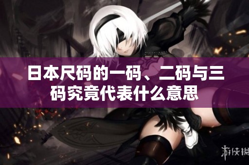 日本尺码的一码、二码与三码究竟代表什么意思