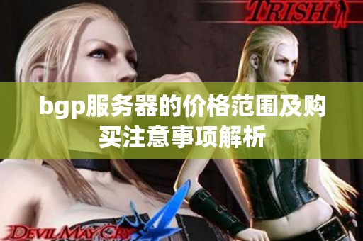 bgp服务器的价格范围及购买注意事项解析