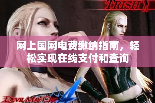 网上国网电费缴纳指南，轻松实现在线支付和查询