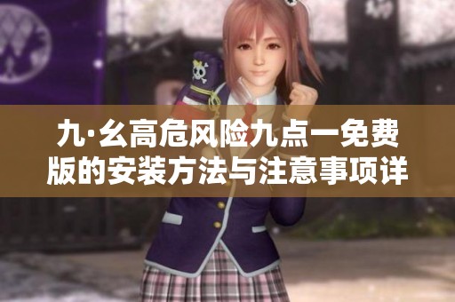 九·幺高危风险九点一免费版的安装方法与注意事项详解