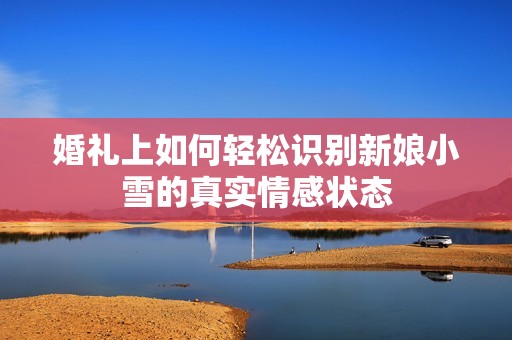 婚礼上如何轻松识别新娘小雪的真实情感状态