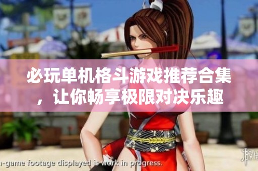 必玩单机格斗游戏推荐合集，让你畅享极限对决乐趣