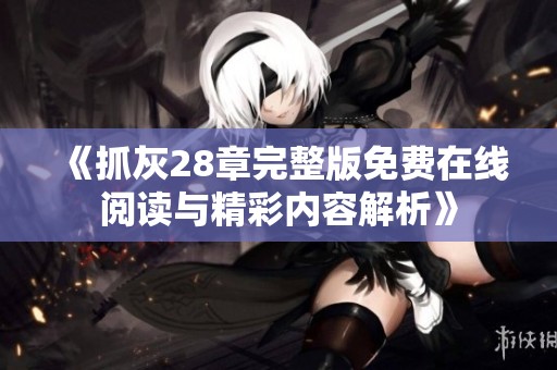《抓灰28章完整版免费在线阅读与精彩内容解析》
