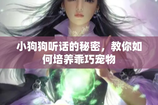 小狗狗听话的秘密，教你如何培养乖巧宠物