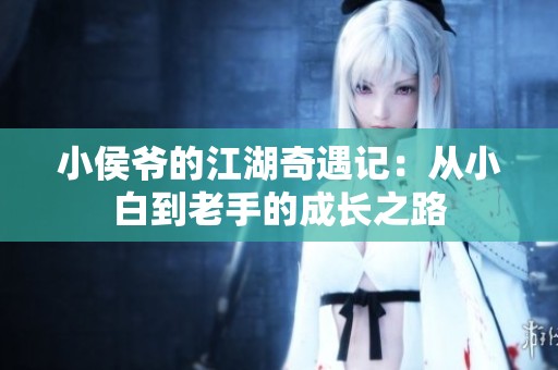小侯爷的江湖奇遇记：从小白到老手的成长之路