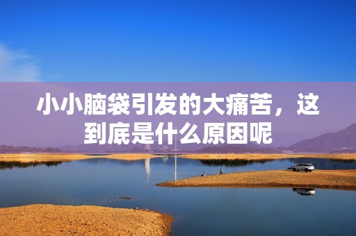小小脑袋引发的大痛苦，这到底是什么原因呢
