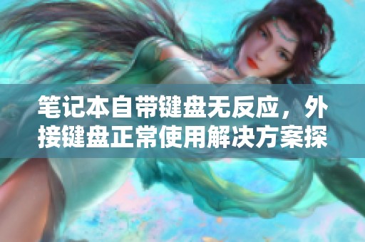 笔记本自带键盘无反应，外接键盘正常使用解决方案探讨