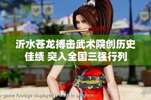 沂水苍龙搏击武术院创历史佳绩 突入全国三强行列