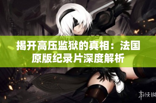 揭开高压监狱的真相：法国原版纪录片深度解析