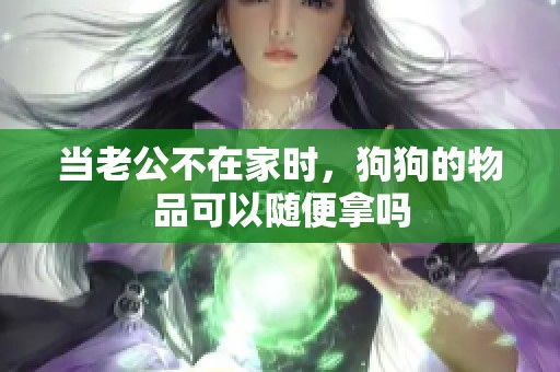 当老公不在家时，狗狗的物品可以随便拿吗