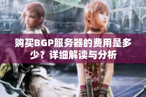 购买BGP服务器的费用是多少？详细解读与分析