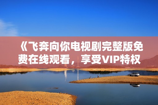 《飞奔向你电视剧完整版免费在线观看，享受VIP特权畅看》
