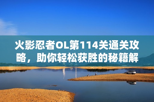 火影忍者OL第114关通关攻略，助你轻松获胜的秘籍解密