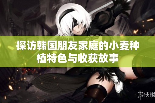 探访韩国朋友家庭的小麦种植特色与收获故事