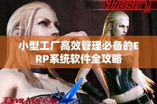 小型工厂高效管理必备的ERP系统软件全攻略