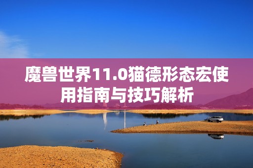 魔兽世界11.0猫德形态宏使用指南与技巧解析