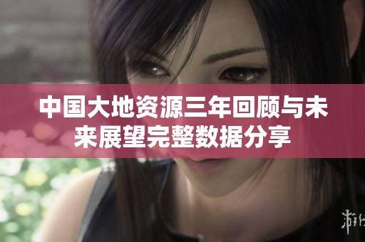 中国大地资源三年回顾与未来展望完整数据分享