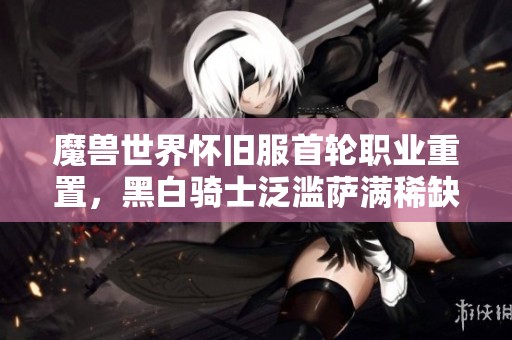 魔兽世界怀旧服首轮职业重置，黑白骑士泛滥萨满稀缺