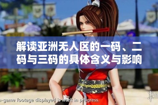 解读亚洲无人区的一码、二码与三码的具体含义与影响