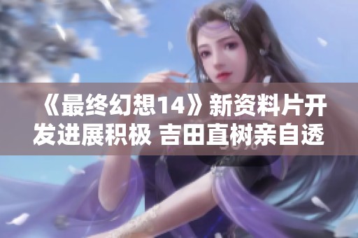 《最终幻想14》新资料片开发进展积极 吉田直树亲自透露