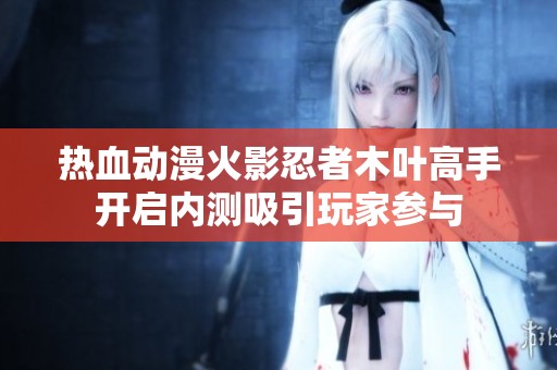 热血动漫火影忍者木叶高手开启内测吸引玩家参与