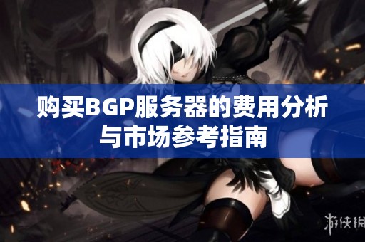 购买BGP服务器的费用分析与市场参考指南