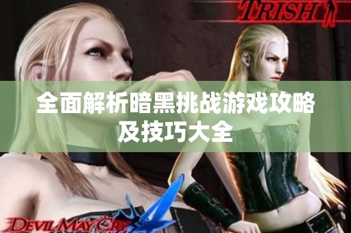 全面解析暗黑挑战游戏攻略及技巧大全