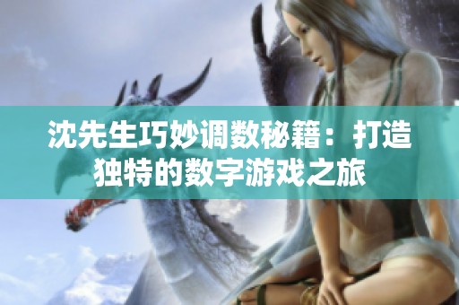 沈先生巧妙调数秘籍：打造独特的数字游戏之旅