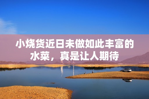 小烧货近日未做如此丰富的水菜，真是让人期待