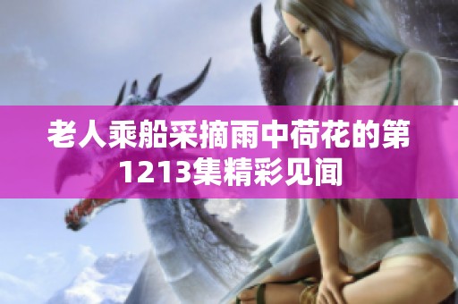 老人乘船采摘雨中荷花的第1213集精彩见闻