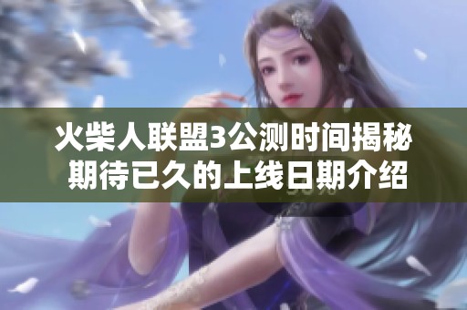 火柴人联盟3公测时间揭秘 期待已久的上线日期介绍