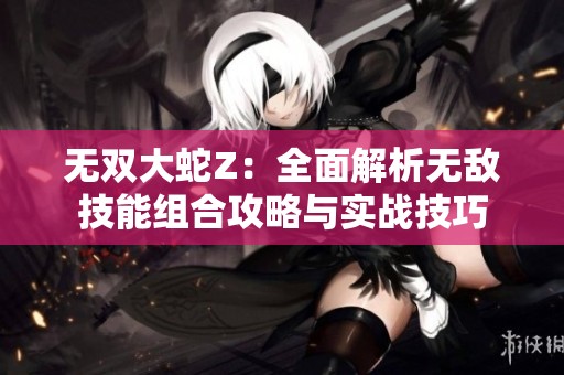 无双大蛇Z：全面解析无敌技能组合攻略与实战技巧