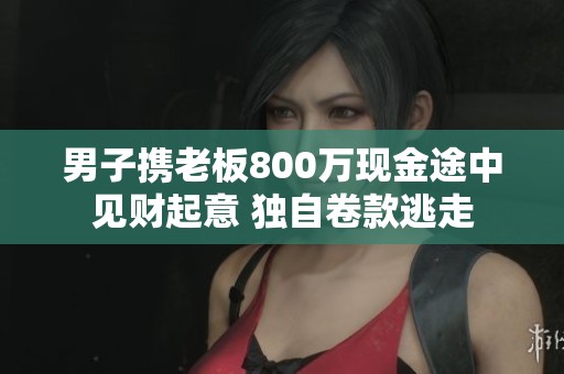 男子携老板800万现金途中见财起意 独自卷款逃走