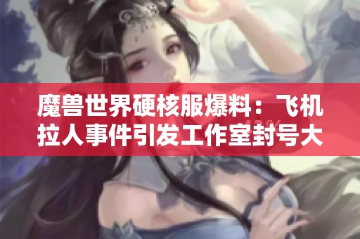 魔兽世界硬核服爆料：飞机拉人事件引发工作室封号大潮