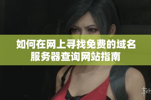 如何在网上寻找免费的域名服务器查询网站指南