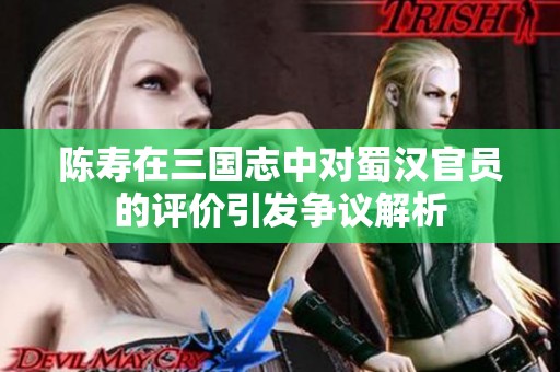 陈寿在三国志中对蜀汉官员的评价引发争议解析