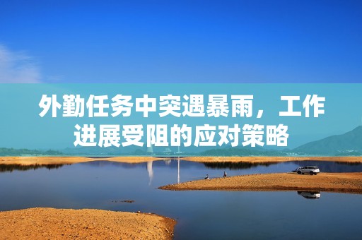 外勤任务中突遇暴雨，工作进展受阻的应对策略