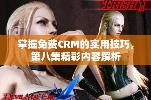 掌握免费CRM的实用技巧，第八集精彩内容解析