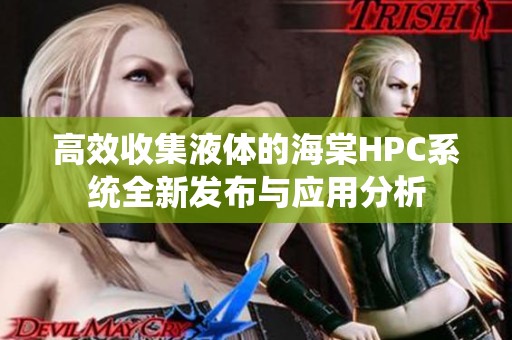高效收集液体的海棠HPC系统全新发布与应用分析