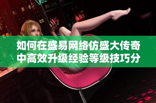 如何在盛易网络仿盛大传奇中高效升级经验等级技巧分享