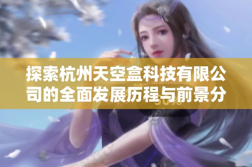 探索杭州天空盒科技有限公司的全面发展历程与前景分析