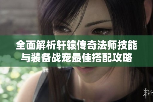 全面解析轩辕传奇法师技能与装备战宠最佳搭配攻略