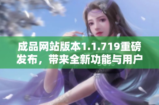 成品网站版本1.1.719重磅发布，带来全新功能与用户体验