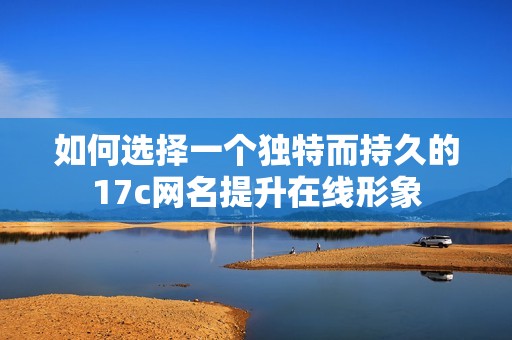 如何选择一个独特而持久的17c网名提升在线形象