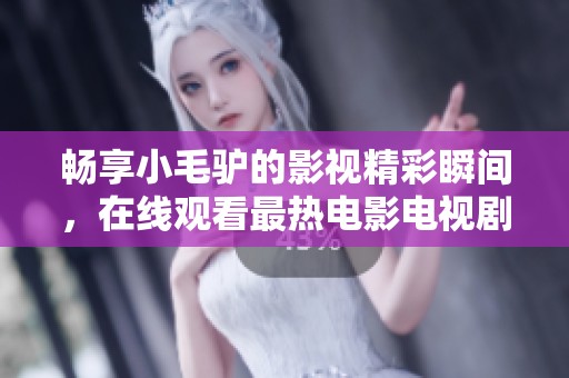 畅享小毛驴的影视精彩瞬间，在线观看最热电影电视剧