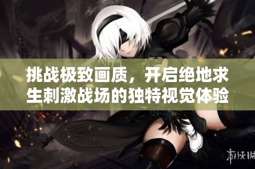 挑战极致画质，开启绝地求生刺激战场的独特视觉体验