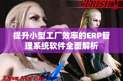 提升小型工厂效率的ERP管理系统软件全面解析