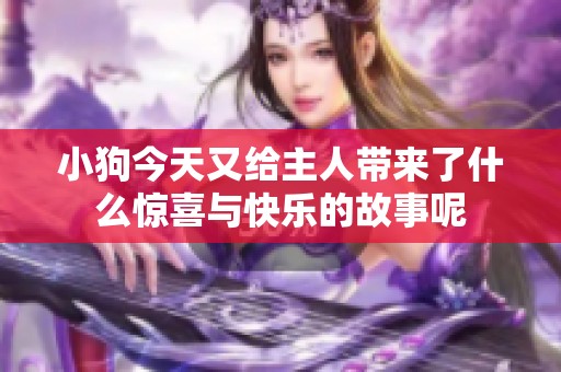 小狗今天又给主人带来了什么惊喜与快乐的故事呢